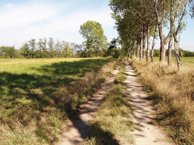 Bussero, percorso agricolo con roggia e filare